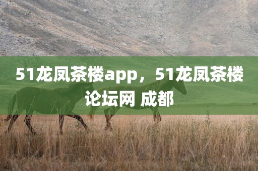 51龙凤茶楼app，51龙凤茶楼论坛网 成都