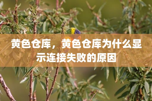 黄色仓库，黄色仓库为什么显示连接失败的原因