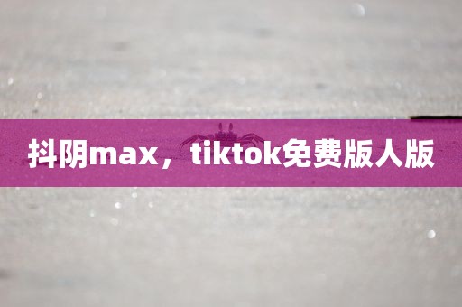 抖阴max，tiktok免费版人版