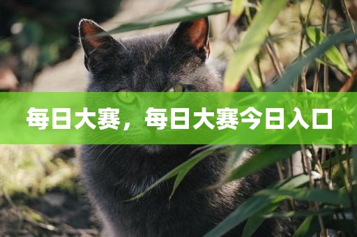 每日大赛，每日大赛今日入口