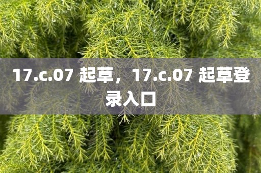 17.c.07 起草，17.c.07 起草登录入口
