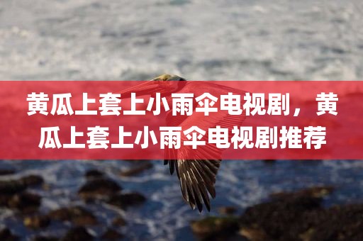 黄瓜上套上小雨伞电视剧，黄瓜上套上小雨伞电视剧推荐