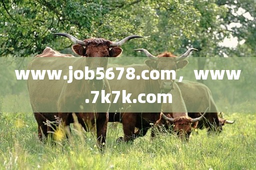 www.job5678.com，www.7k7k.com