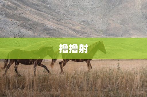撸撸射