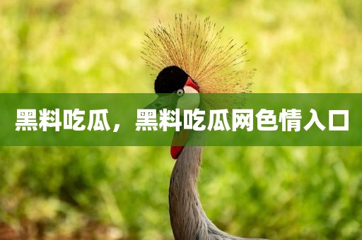 黑料吃瓜，黑料吃瓜网色情入口