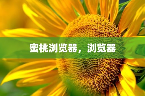 蜜桃浏览器，浏览器
