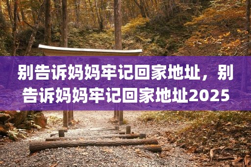 别告诉妈妈牢记回家地址，别告诉妈妈牢记回家地址2025