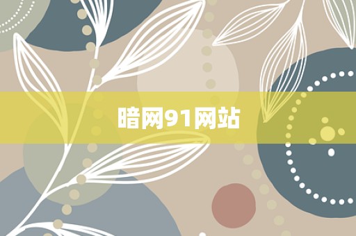 暗网91网站