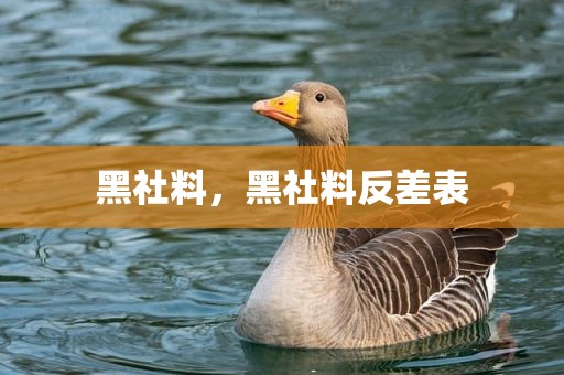 黑社料，黑社料反差表
