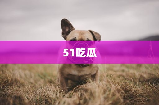 51吃瓜