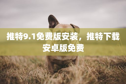 推特9.1免费版安装，推特下载安卓版免费