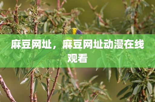 麻豆网址，麻豆网址动漫在线观看
