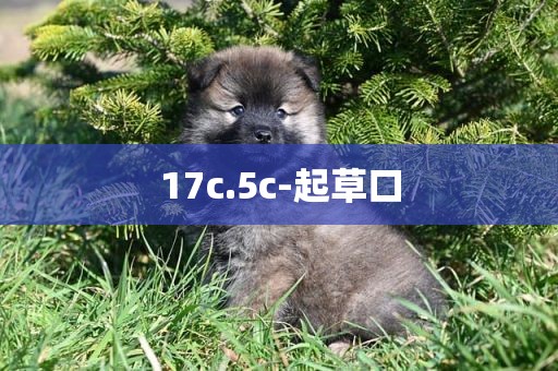 17c.5c-起草口