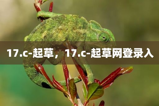 17.c-起草，17.c-起草网登录入