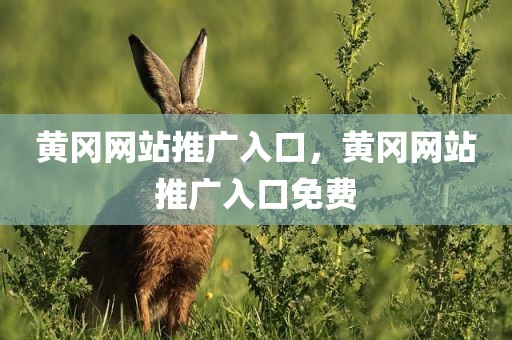 黄冈网站推广入口，黄冈网站推广入口免费