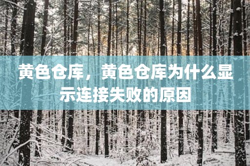 黄色仓库，黄色仓库为什么显示连接失败的原因