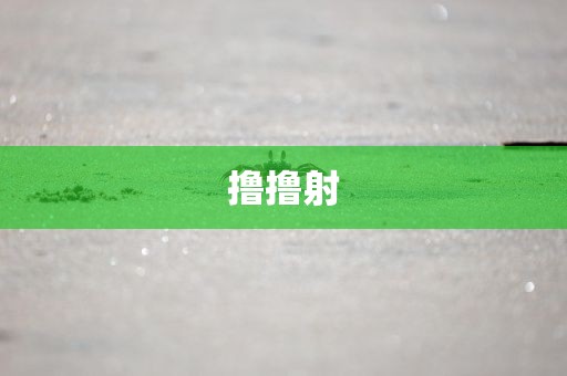 撸撸射