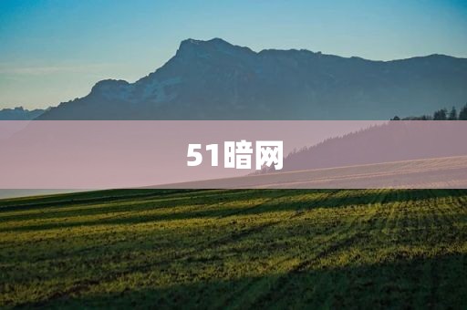 51暗网