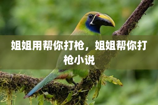 姐姐用帮你打枪，姐姐帮你打枪小说