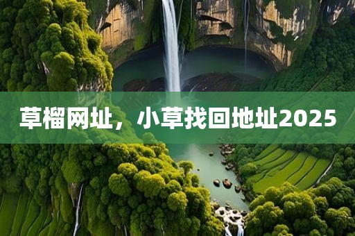 草榴网址，小草找回地址2025