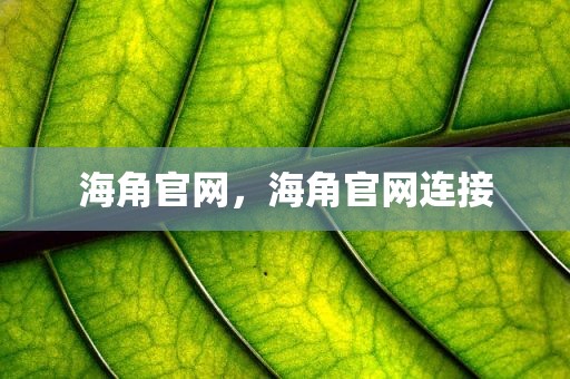 海角官网，海角官网连接