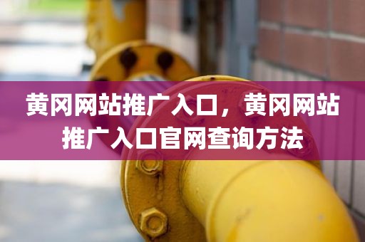 黄冈网站推广入口，黄冈网站推广入口官网查询方法