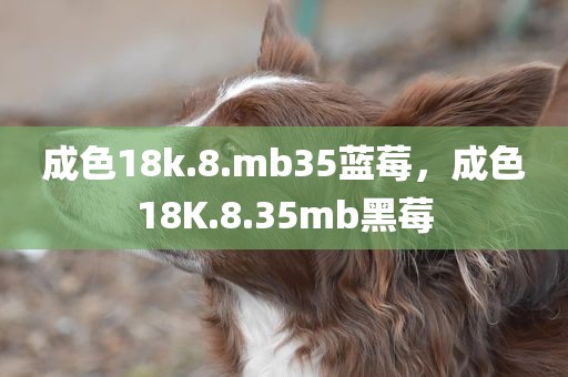 成色18k.8.mb35蓝莓，成色18K.8.35mb黑莓