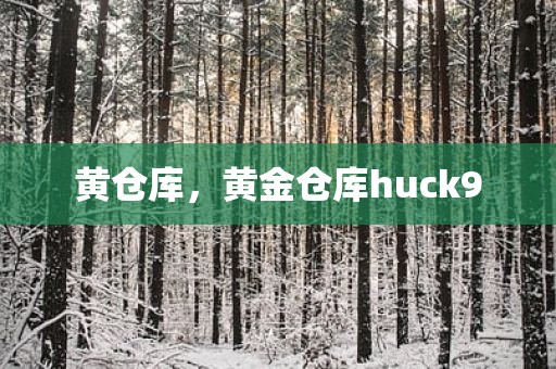 黄仓库，黄金仓库huck9