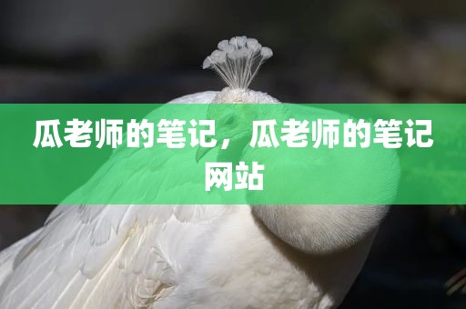 瓜老师的笔记，瓜老师的笔记网站