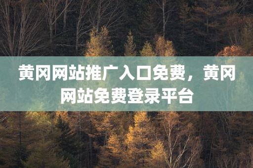 黄冈网站推广入口免费，黄冈网站免费登录平台