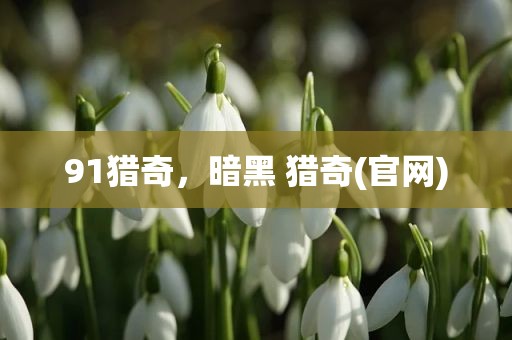 91猎奇，暗黑 猎奇(官网)