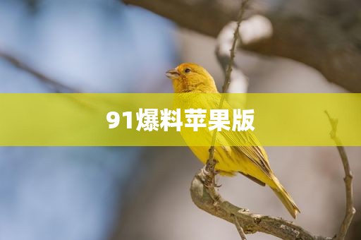 91爆料苹果版