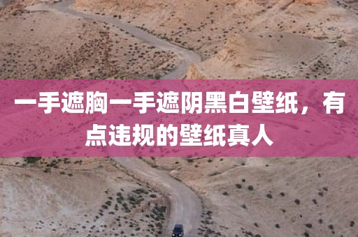 一手遮胸一手遮阴黑白壁纸，有点违规的壁纸真人