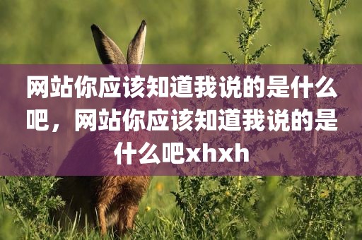 网站你应该知道我说的是什么吧，网站你应该知道我说的是什么吧xhxh