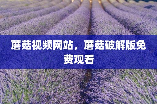 蘑菇视频网站，蘑菇破解版免费观看
