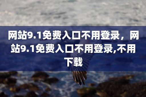 网站9.1免费入口不用登录，网站9.1免费入口不用登录,不用下载