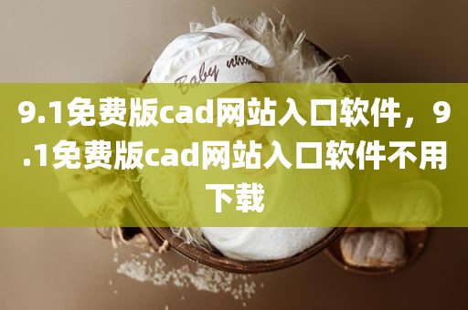 9.1免费版cad网站入口软件，9.1免费版cad网站入口软件不用下载
