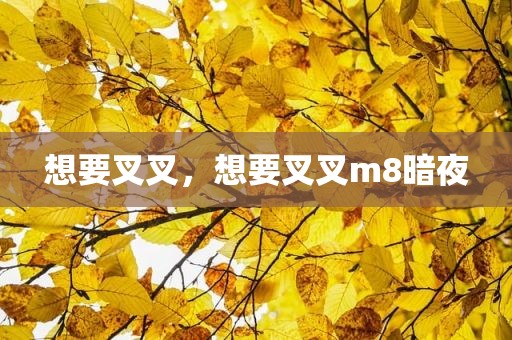 想要叉叉，想要叉叉m8暗夜