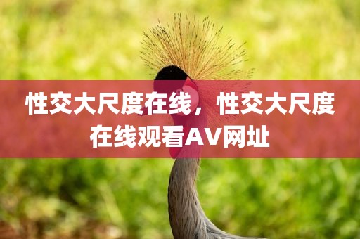 性交大尺度在线，性交大尺度在线观看AV网址