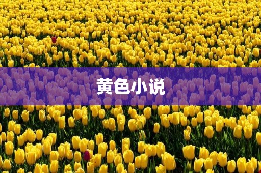 黄色小说