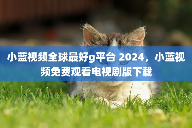 小蓝视频全球最好g平台 2024，小蓝视频免费观看电视剧版下载