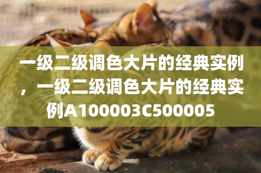 一级二级调色大片的经典实例，一级二级调色大片的经典实例A100003C500005