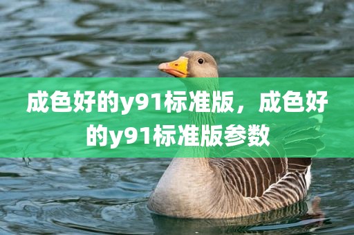 成色好的y91标准版，成色好的y91标准版参数
