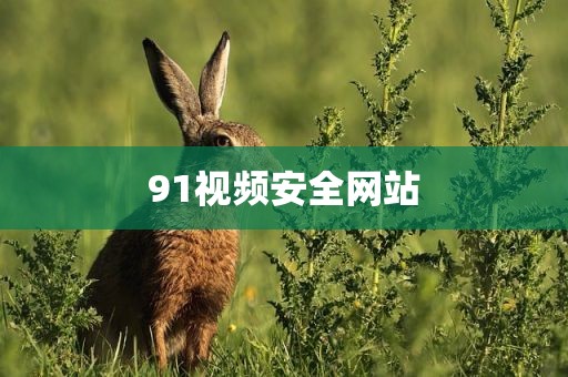 91视频安全网站