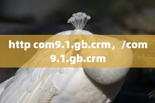 http com9.1.gb.crm，/com9.1.gb.crm