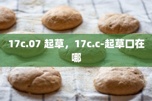 17c.07 起草，17c.c-起草口在哪