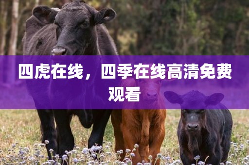 四虎在线，四季在线高清免费观看