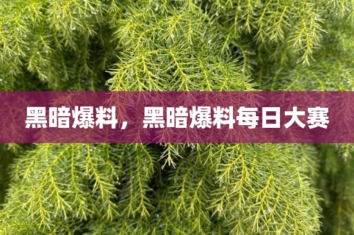 黑暗爆料，黑暗爆料每日大赛