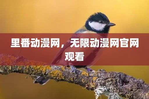 里番动漫网，无限动漫网官网观看