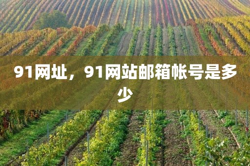 91网址，91网站邮箱帐号是多少